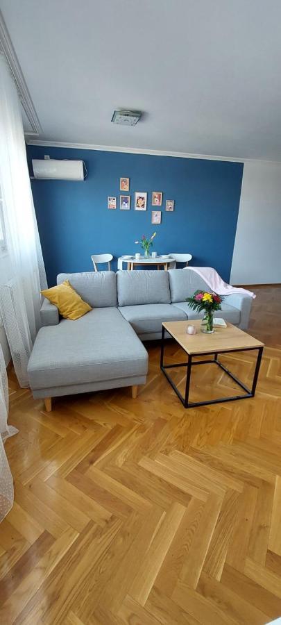 Plavi Zec Apartman Szabadka Kültér fotó